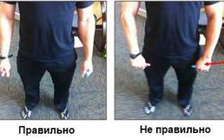 Строение и функции внчс