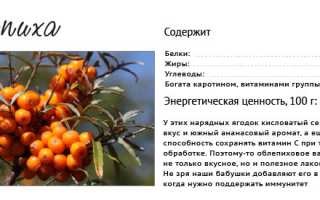 Польза облепихового масла при насморке у ребенка для здоровья