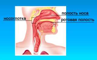 Промывание носа солевым раствором при насморке для облегчения симптомов