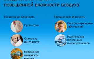 Капли и мази для увлажнения слизистой носа: полезные советы и рекомендации