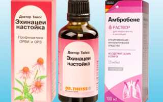Симптомы хронического трахеита у взрослых: важные аспекты здоровья