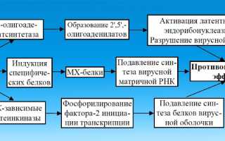 Список противовирусных капель для носа: эффективные решения для здоровья