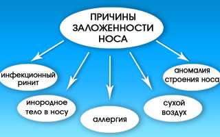 Постоянная заложенность носа у детей: причины и лечение