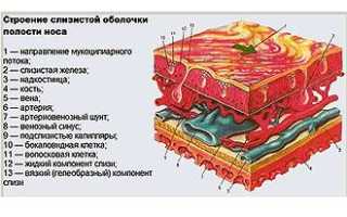Камфорное масло при насморке: полезные свойства и применение
