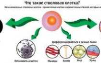 Норма толщины гиалинового хряща коленного сустава