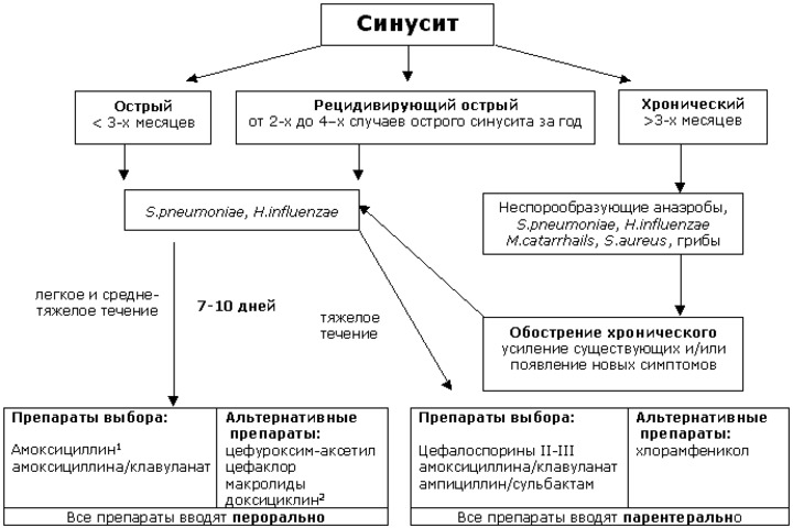 Схема выбора антибиотиков