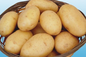 картофель
