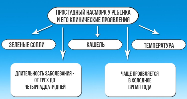 схема