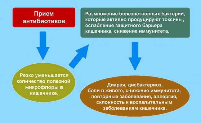 почки