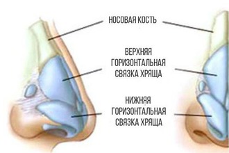 Строение 