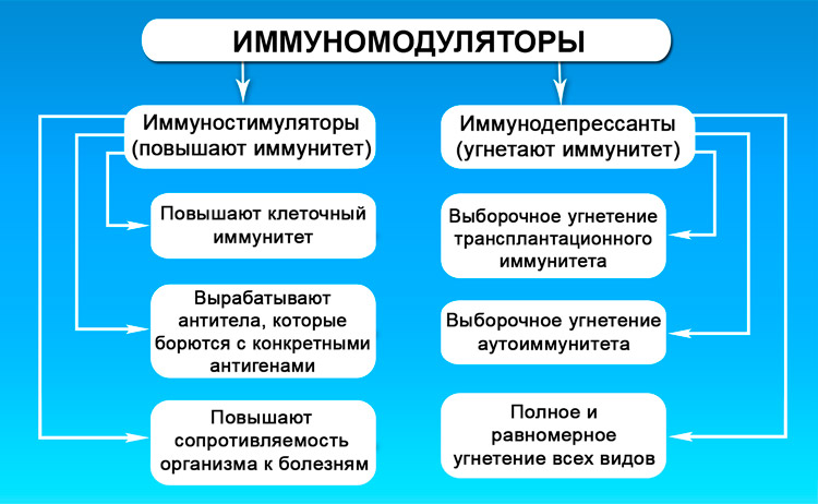 Иммуномодуляторы